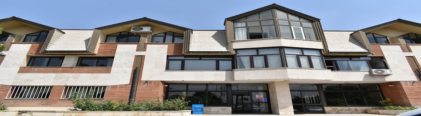 Second Responsive Image